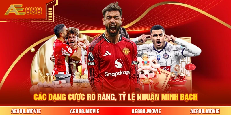 Các dạng cược rõ ràng, tỷ lệ nhuận minh bạch 