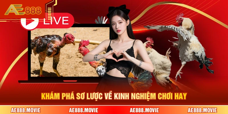 Khám phá sơ lược về kinh nghiệm chơi hay 